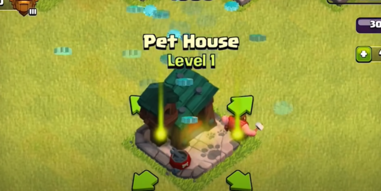 Mastering the Art of Getting Pets in Clash of Clans